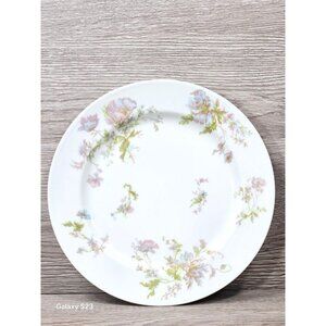 Haviland France Hand Painted Pink Blue Flowers Antique 9" Plate